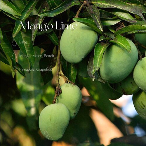 Mango Lime fragrance oil 250ml/8.45oz
