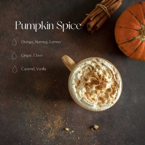 Pumpkin Spice fragrance oil 250ml/8.45oz
