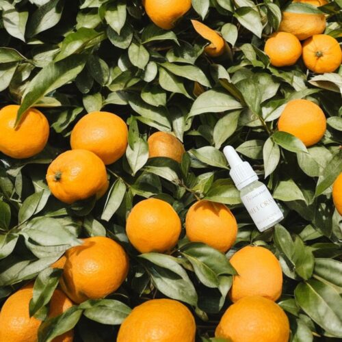 Sweet orange Essential oil 10ml/0.34oz